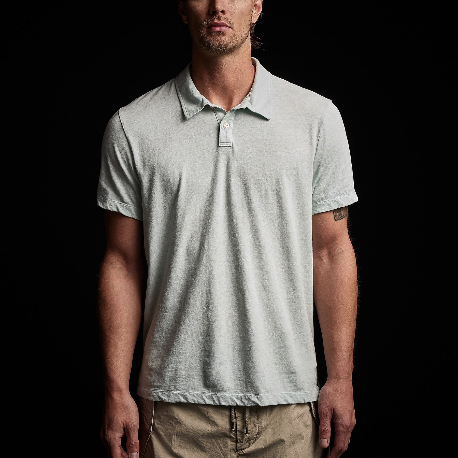 Mens Polo Shirts I By James Perse, Massimo Alba